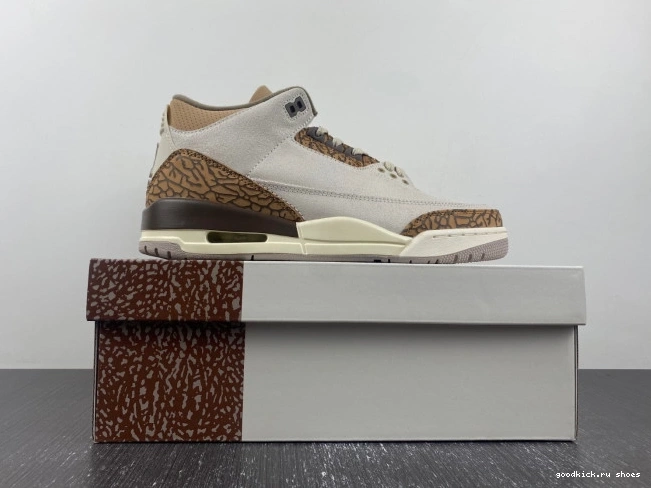 Palomino CT8532-102 3 Jordan Air 0812